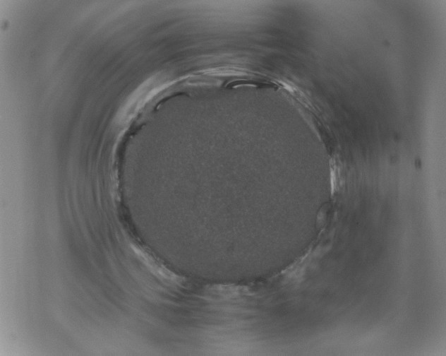 X0000070410339200606231833