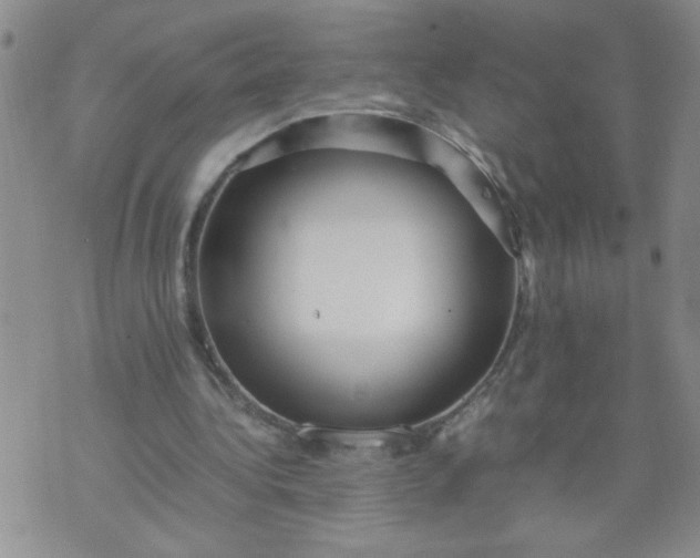 X0000070410340200606231833