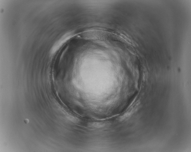 X0000070410341200606231833