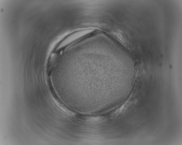 X0000070410342200606231833