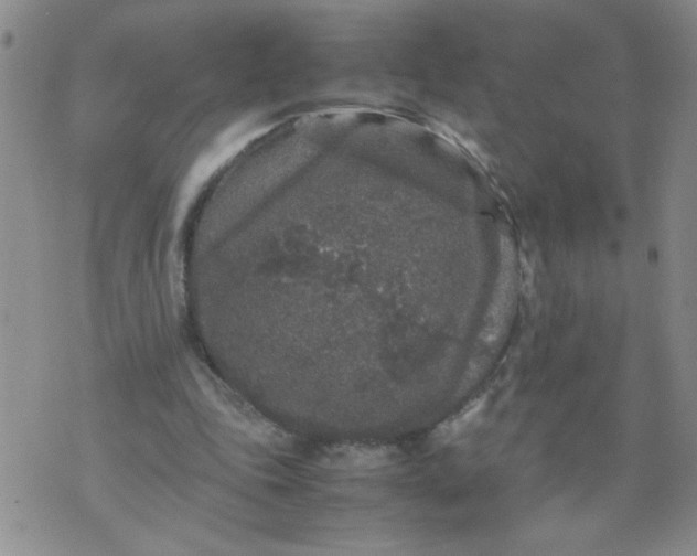 X0000070410343200606231833