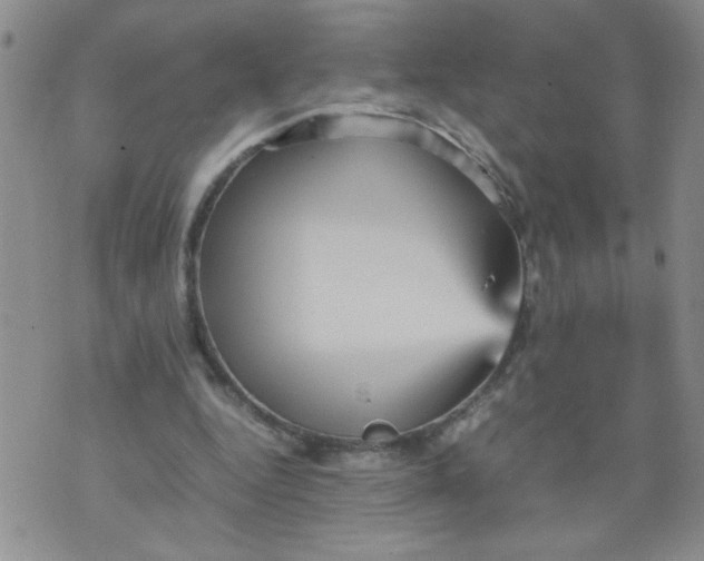 X0000070410344200606231833