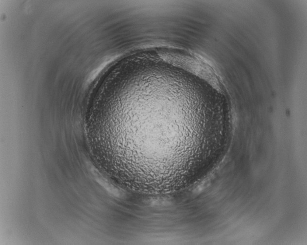 X0000070410345200606231833