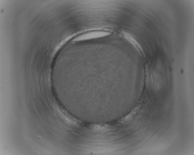 X0000070410346200606231834