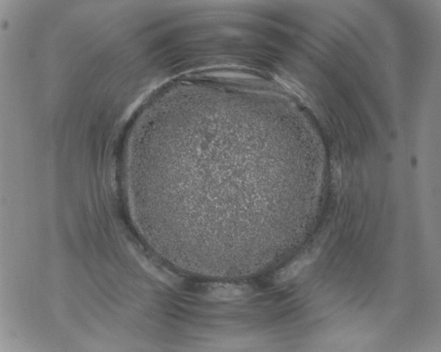 X0000070410347200606231834