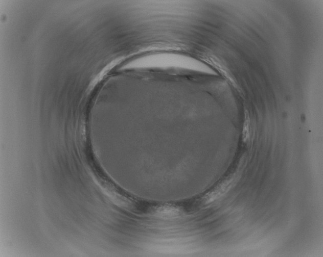 X0000070410348200606231834