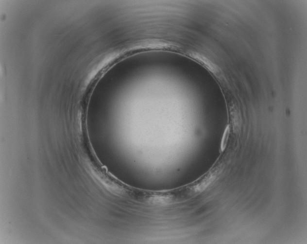 X0000070410350200606231834