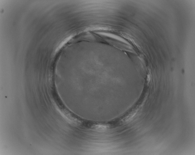 X0000070410352200606231834