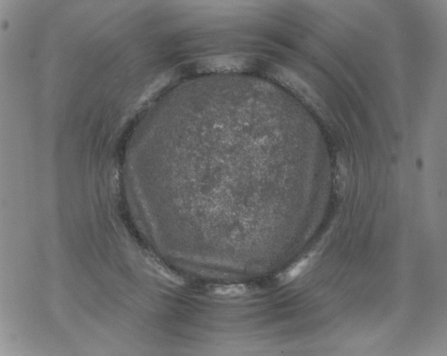 X0000070410355200606231834