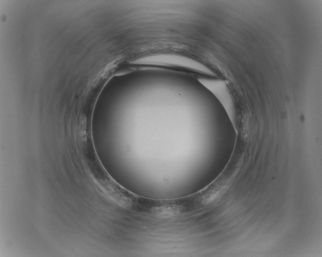 X0000070410356200606231834