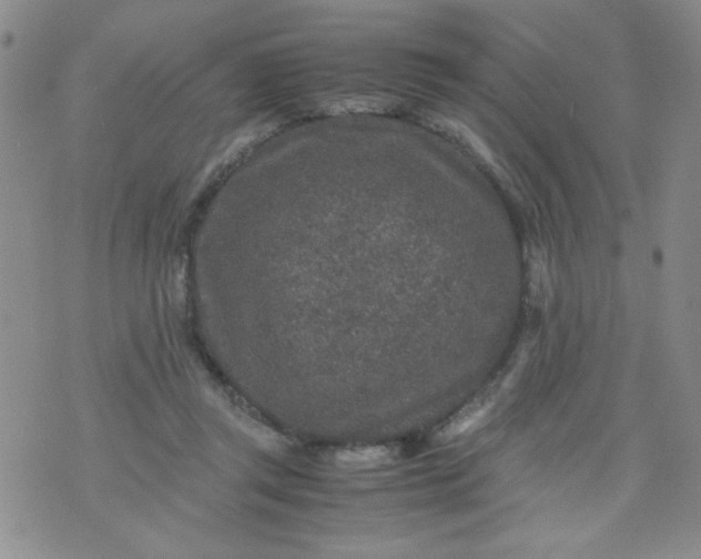 X0000070410357200606231834