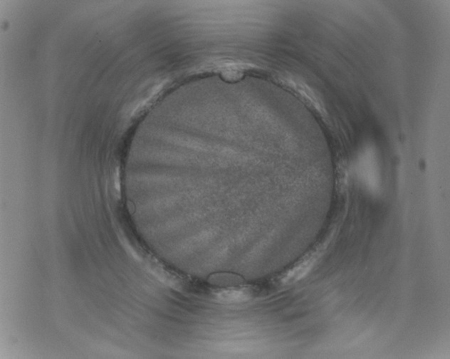 X0000070410358200606231834