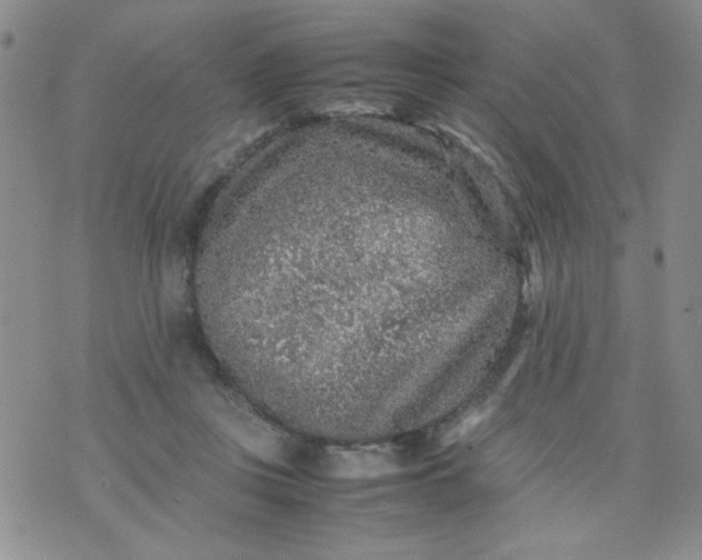 X0000070410359200606231834