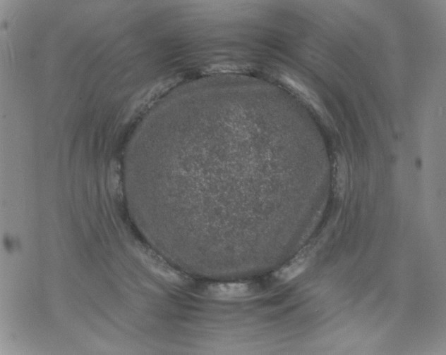 X0000070410361200606231834