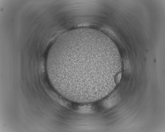 X0000070410362200606231834