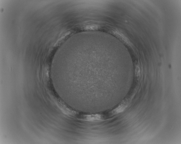 X0000070410363200606231834