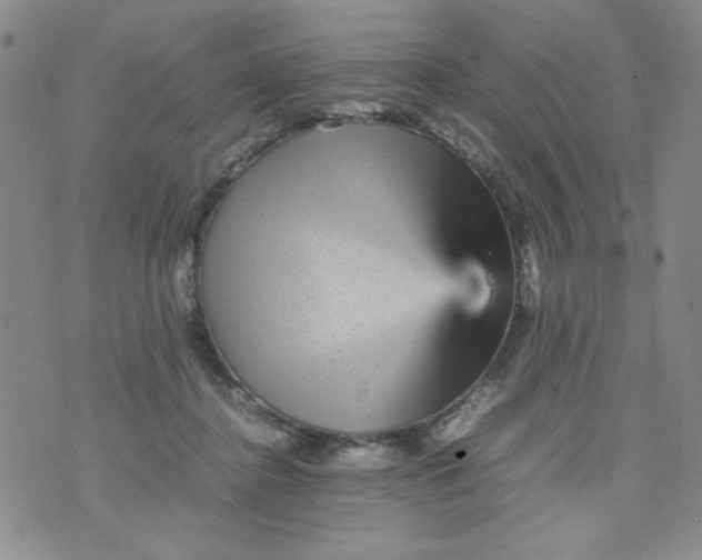 X0000070410364200606231834