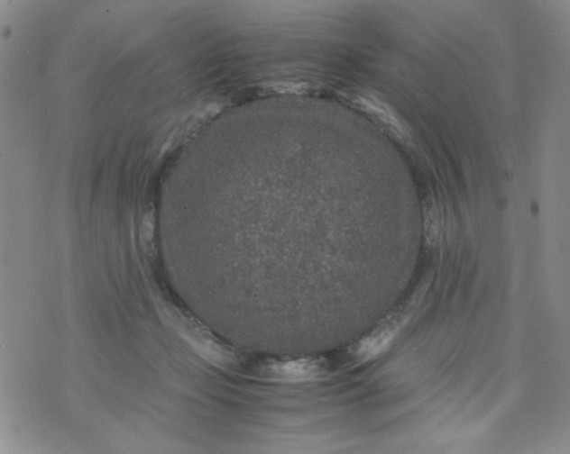 X0000070410365200606231834