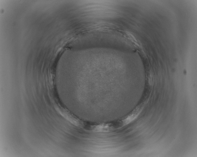 X0000070410366200606231834