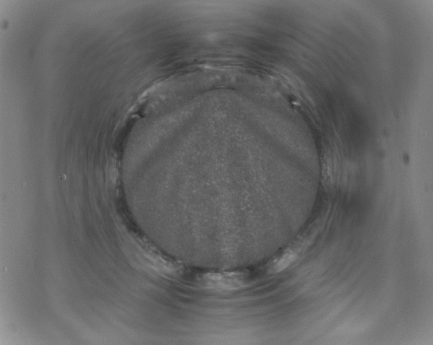 X0000070410367200606231834