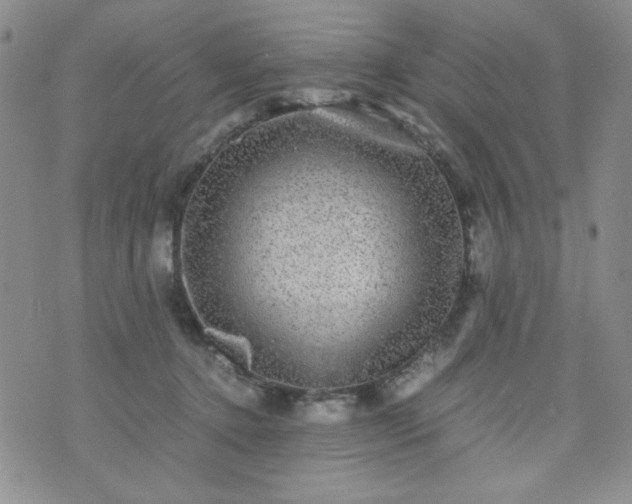 X0000070410368200606231834