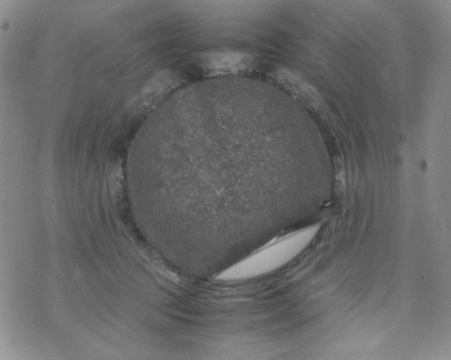 X0000070410369200606231834