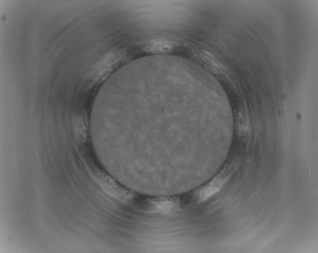 X0000070410370200606231834