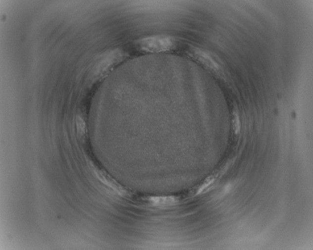 X0000070410371200606231834