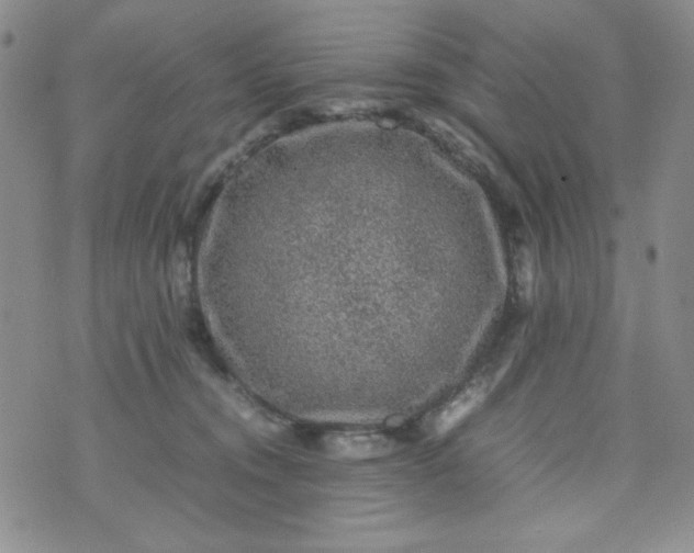 X0000070410372200606231834