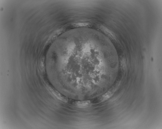 X0000070410373200606231834