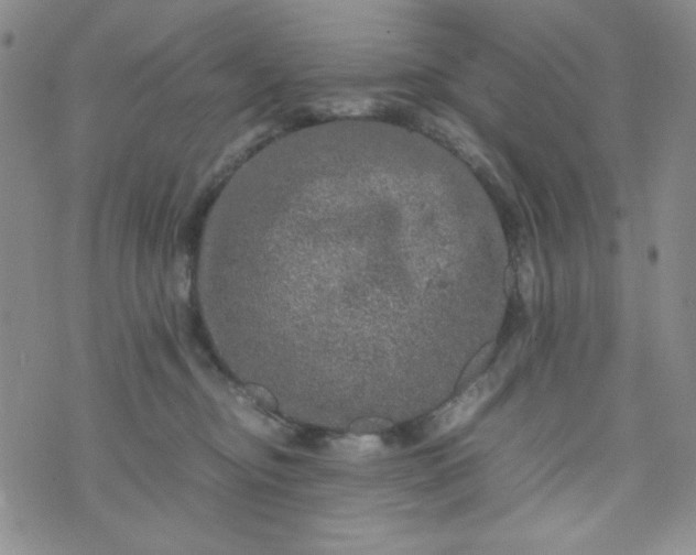 X0000070410374200606231834