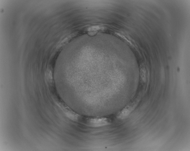 X0000070410375200606231834