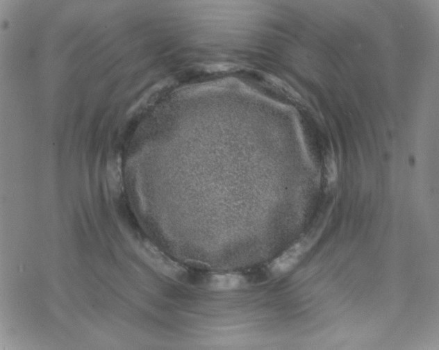 X0000070410376200606231834