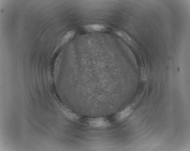 X0000070410377200606231834