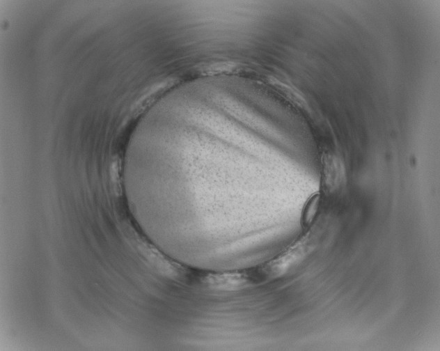 X0000070410378200606231834