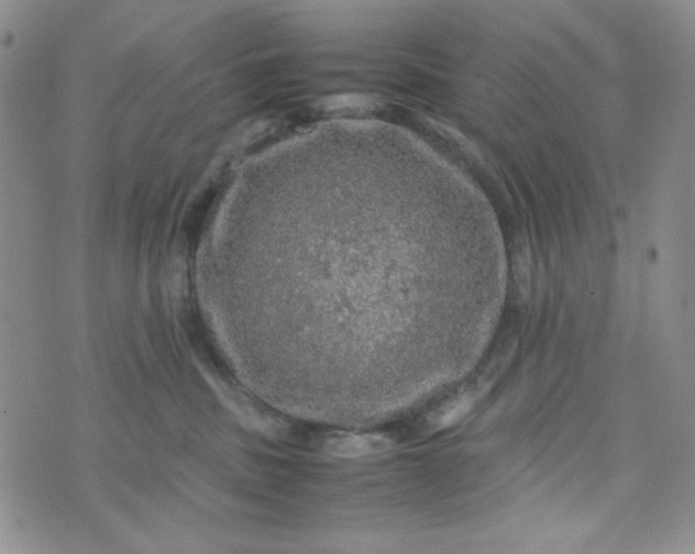 X0000070410379200606231834