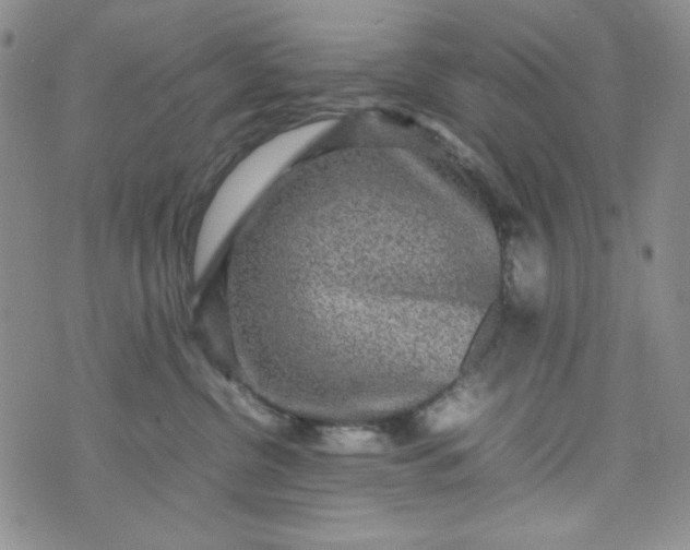 X0000070410380200606231834