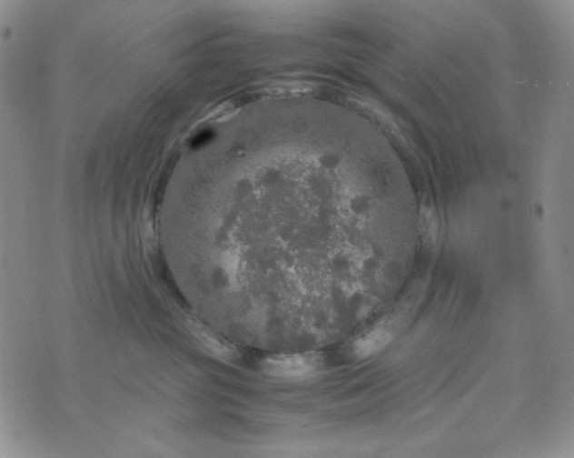 X0000070410381200606231834