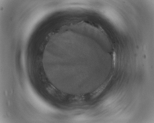 X0000070410383200606231834