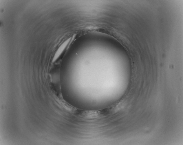 X0000070410384200606231834