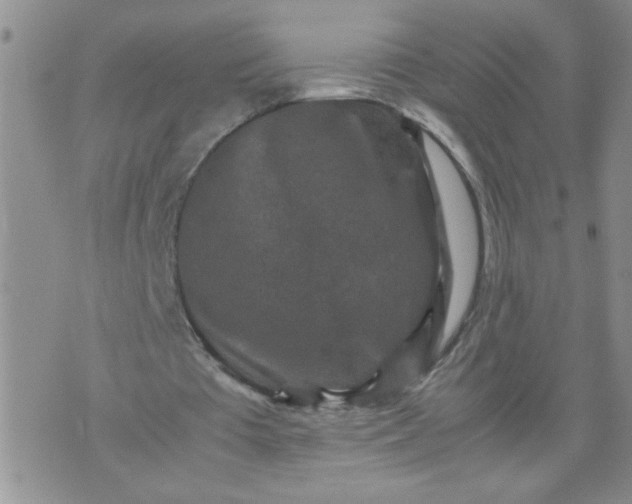 X0000070410385200606231833