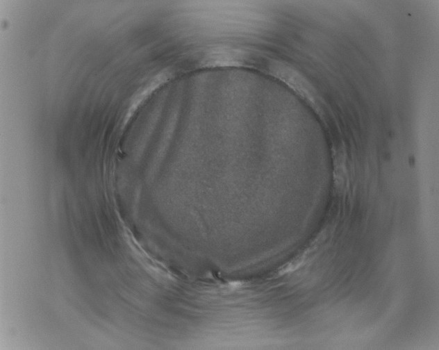 X0000070410386200606231833