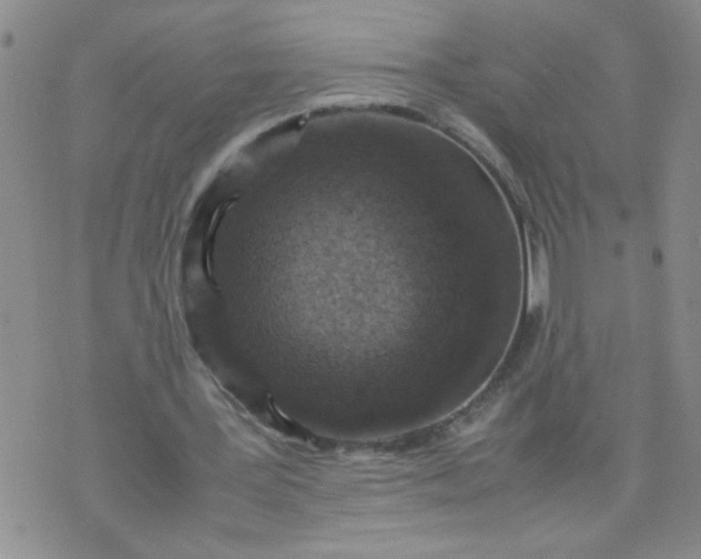 X0000070410387200606231833