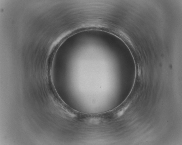 X0000070410388200606231833