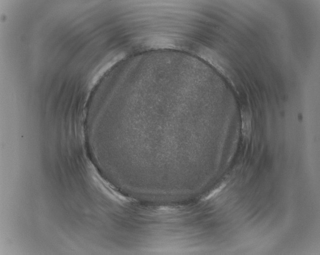 X0000070410390200606231833