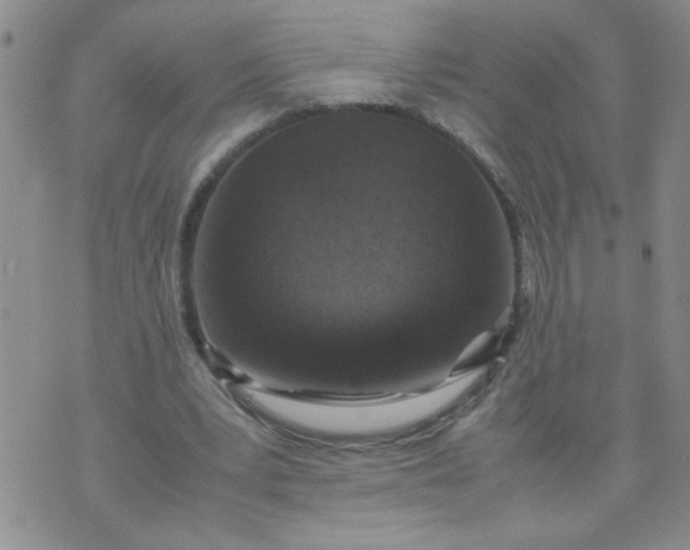 X0000070410391200606231833