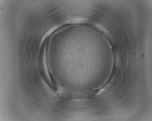 X0000070410392200606231833