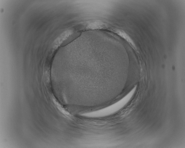 X0000070410393200606231833