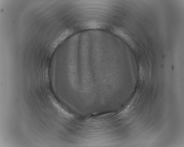 X0000070410394200606231833