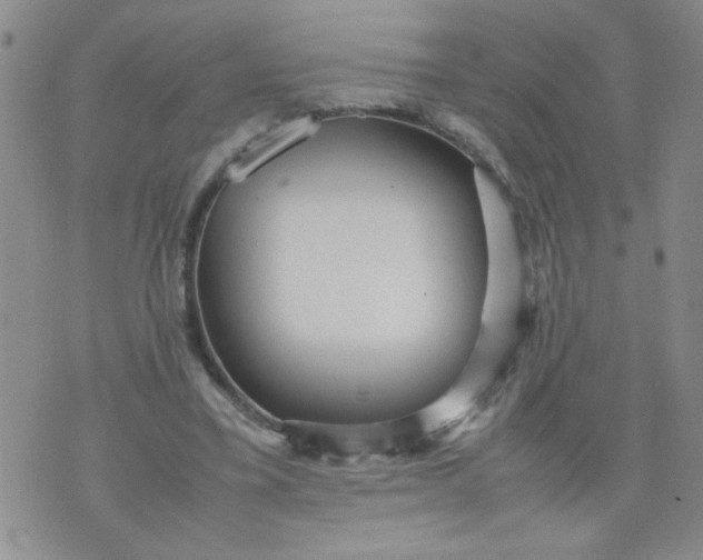 X0000070410395200606231833